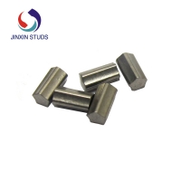 Carbide Pin (17)